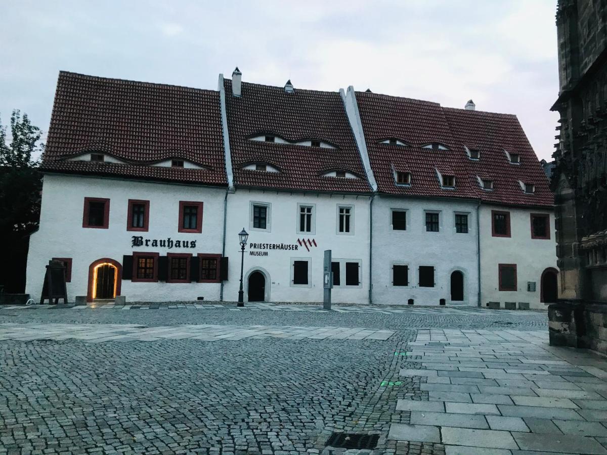 "Glueck Auf" Lichtdurchflutete Schicke Ferienwohnung In ツウィッカウ エクステリア 写真
